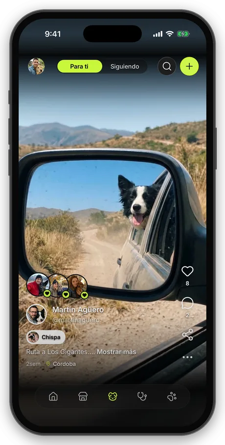 Feed social con una publicación de mascota